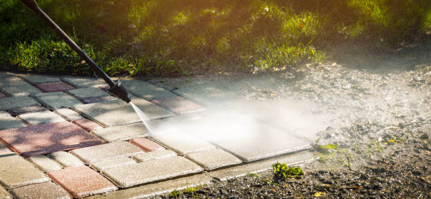 Animal Enclosure Cleaning in Newark, TX